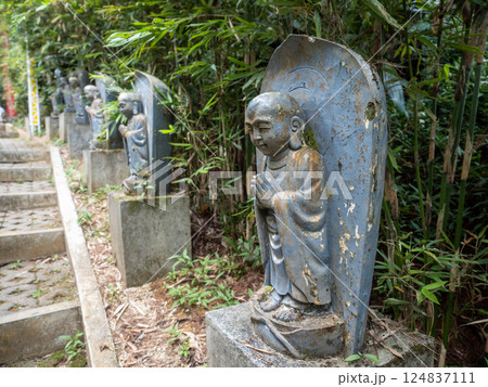 バギオで撮影した写真 124837111