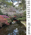 japanese garden with sakura flowers 124837186