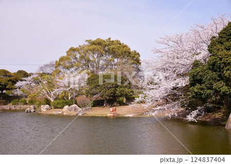 春の袖ヶ浦公園　千葉県袖ケ浦市 124837404