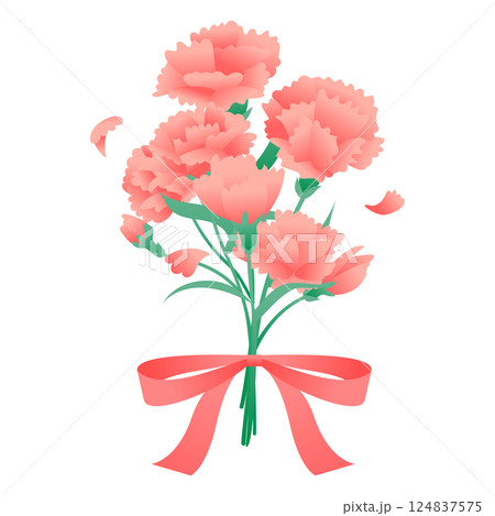 An illustration of carnation flowers 124837575