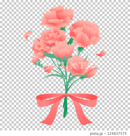 An illustration of carnation flowers 124837575