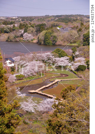 展望台から見た袖ヶ浦公園上池　春の袖ヶ浦公園　 124837594