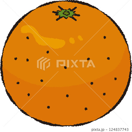 オレンジ（線画有） 124837743