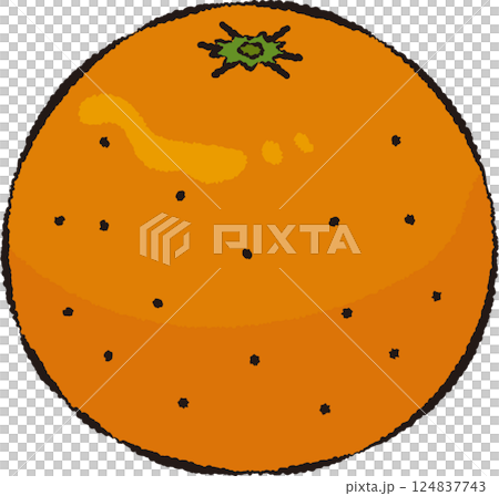 オレンジ（線画有） 124837743
