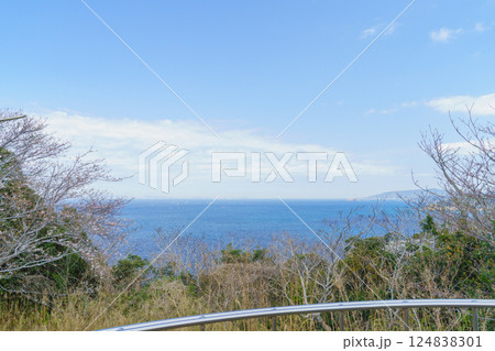 【千葉県南房総市】桜の咲く大房岬自然公園・運動園地(第1展望台)から見る東京湾 【千葉県南房総市】桜の咲く大房岬自然公園・運動園地(第1展望台)から見る東京湾 124838301