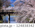 松本城の桜 124838342