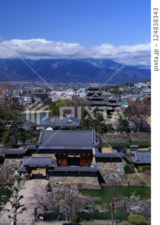 松本城と桜 松本城と桜 124838343