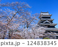松本城の桜 124838345