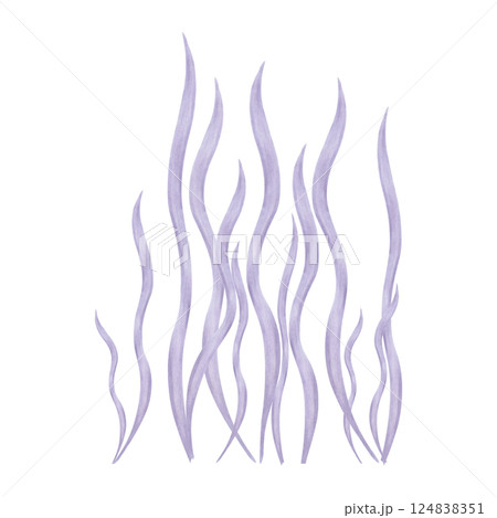 Elegant underwater plant, seaweed. Watercolor and marker illustrations. Sea purple botanical algae. Hand drawn isolated art. Ocean flora shape. Suitable for ecology, kids room, tourism themes. 124838351