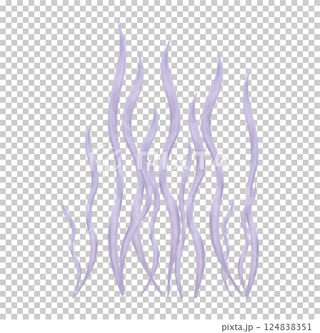 Elegant underwater plant, seaweed. Watercolor and marker illustrations. Sea purple botanical algae. Hand drawn isolated art. Ocean flora shape. Suitable for ecology, kids room, tourism themes. 124838351