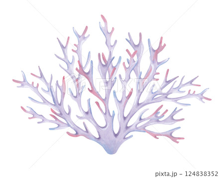 Branched coral. Watercolor and marker illustrations. Ocean coral reefs, underwater animals of the seabed. Hand drawn isolated art. Underwater exotic nature for guidebooks, children's room, swimsuit. 124838352