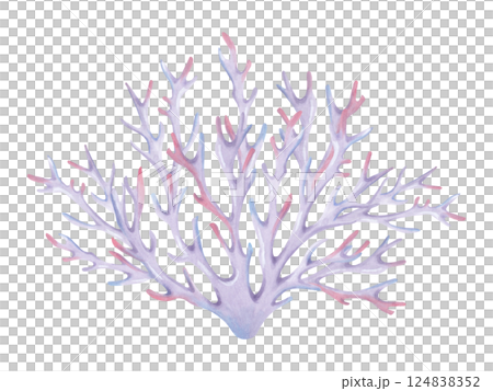 Branched coral. Watercolor and marker illustrations. Ocean coral reefs, underwater animals of the seabed. Hand drawn isolated art. Underwater exotic nature for guidebooks, children's room, swimsuit. 124838352