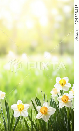 Daffodils in vase against soft bokeh background, symbolizing springtime freshness 124838857