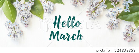 Hello March floral design with pastel lilacs and bokeh background 124838858