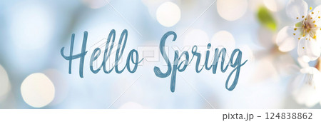 Cherry blossoms in spring with pastel soft floral branches in bloom and text Hello spring, seasonal postcard background 124838862