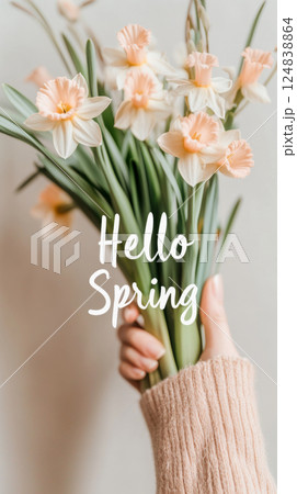 Daffodils in female hands with text Hello Spring, concept of springtime and renewal 124838864