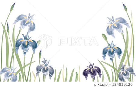 水彩で描いた菖蒲の花のイラスト 124839120