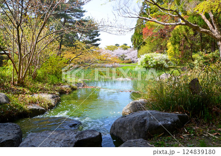 大阪 春の鶴見緑地公園の風景 大阪 春の鶴見緑地公園の風景 124839180