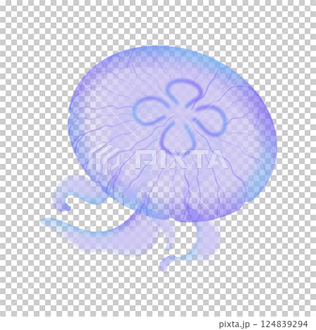 ミズクラゲ_紫 124839294