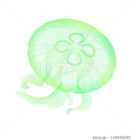 ミズクラゲ_緑 124839295