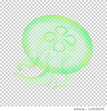 ミズクラゲ_緑 124839295