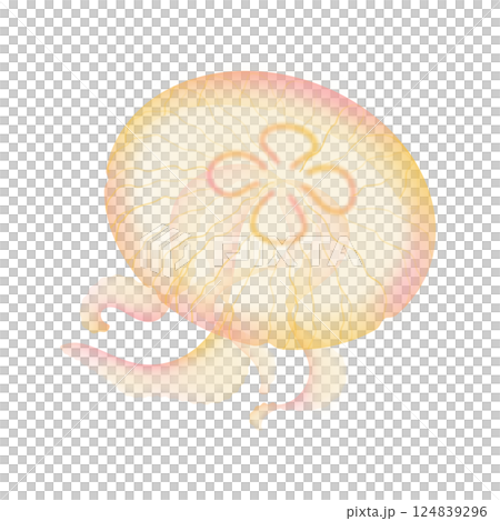 ミズクラゲ_黄 124839296