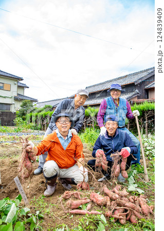 シニア友達　趣味の野菜作り　芋の収穫 124839409