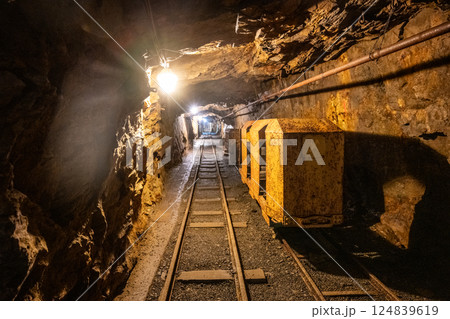 This narrow mine shaft in Jachymov, Czechia features a single rail track leading into the darkness. An aged cart rests nearby, reflecting the history of mining in the area. 124839619