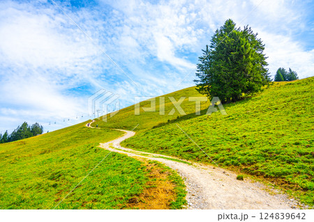 A peaceful alpine road curves gently through vibrant green hills under a brilliant blue sky. The landscape is dotted with tall trees and distant ski lifts, creating a picturesque outdoor scene. A peaceful alpine road curves gently through vibrant green hills under a brilliant blue sky. The landscape is dotted with tall trees and distant ski lifts, creating a picturesque outdoor scene. 124839642