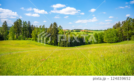 Lush green fields stretch toward the horizon, dotted with trees under a clear blue sky. The serene landscape offers a peaceful view of nature's beauty on a sunny day. Lush green fields stretch toward the horizon, dotted with trees under a clear blue sky. The serene landscape offers a peaceful view of nature's beauty on a sunny day. 124839652