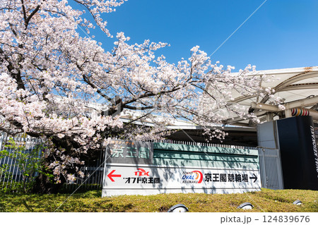 京王閣競輪場 オフト京王閣の看板 春の青空 東京都調布市多摩川4丁目 京王閣競輪場 オフト京王閣の看板 春の青空 東京都調布市多摩川4丁目 124839676