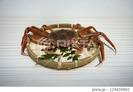 活きたオオズワイガニの極上の味わい 124839902