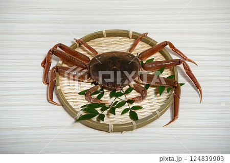 旬の活きたオオズワイガニの美味しさ	 124839903