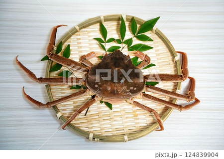 新鮮な活きたオオズワイガニ	 124839904