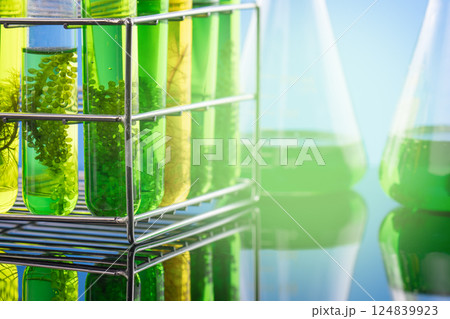 Algae fuel biofuel industry lab researching for alternative to fossil algae fuel or algal biofuel. Zero carbon emission concept. Algae fuel biofuel industry lab researching for alternative to fossil algae fuel or algal biofuel. Zero carbon emission concept. 124839923