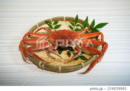 新鮮な茹でたてのオオズワイガニ	 新鮮な茹でたてのオオズワイガニ	 124839981