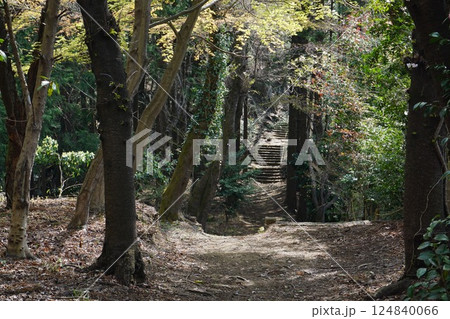 トレイルと階段 124840066
