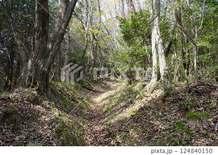 低山のトレイル 124840150