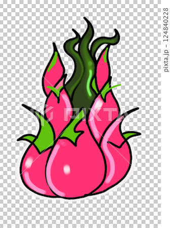 sliced dragon fruit  124840228