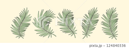 Set of vector silhouettes tropical palm leaves. Set of vector silhouettes tropical palm leaves. 124840336