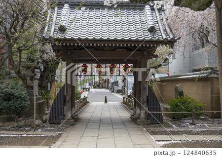 春の新井山梅照院(新井薬師) 124840635