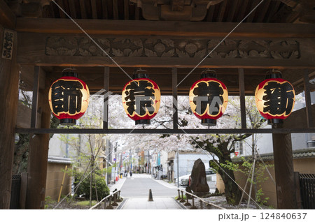 春の新井山梅照院(新井薬師) 春の新井山梅照院(新井薬師) 124840637