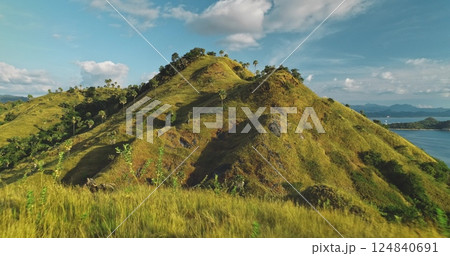 Scenic landscape showcasing vibrant green hills dotted with palm trees, overlooking a serene ocean with distant islands under a bright blue sky with fluffy white clouds 124840691