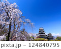 桜と松本城 124840795