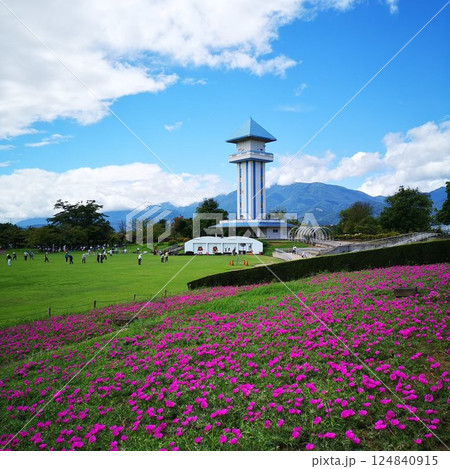 公園 ドラゴンパーク 春 公園 ドラゴンパーク 春 124840915
