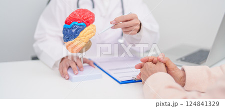 Elderly Patient consulting Doctor to Brain disease, Senior Health Medical Diagnosis. Anatomy Brain model for Explanation, Brain Tumor, neurological disorders, Dementia, alzheimer, parkinson and Mental Elderly Patient consulting Doctor to Brain disease, Senior Health Medical Diagnosis. Anatomy Brain model for Explanation, Brain Tumor, neurological disorders, Dementia, alzheimer, parkinson and Mental 124841329