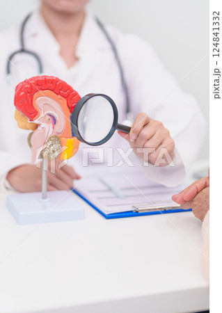 Elderly Patient consulting Doctor to Brain disease, Senior Health Medical Diagnosis. Anatomy Brain model for Explanation, Brain Tumor, neurological disorders, Dementia, alzheimer, parkinson and Mental Elderly Patient consulting Doctor to Brain disease, Senior Health Medical Diagnosis. Anatomy Brain model for Explanation, Brain Tumor, neurological disorders, Dementia, alzheimer, parkinson and Mental 124841332