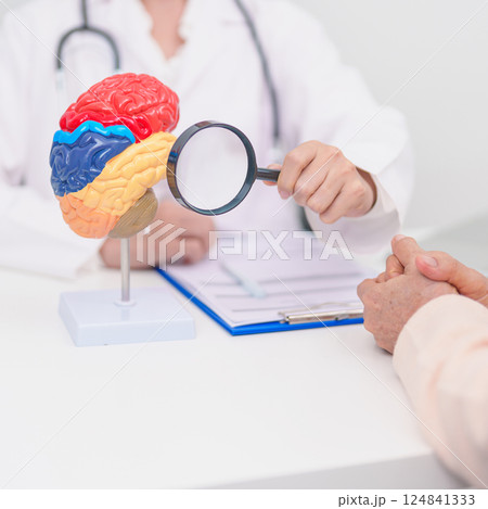 Elderly Patient consulting Doctor to Brain disease, Senior Health Medical Diagnosis. Anatomy Brain model for Explanation, Brain Tumor, neurological disorders, Dementia, alzheimer, parkinson and Mental 124841333