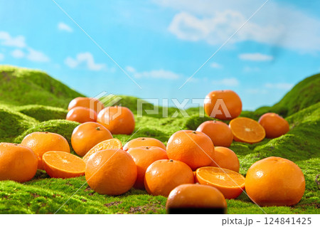 Freshly harvested ripe oranges lie on grass of the prairie. Oranges cut in half are placed among whole oranges, stacked on top of each other. The rolling hills behind, the blue sky with white clouds. 124841425