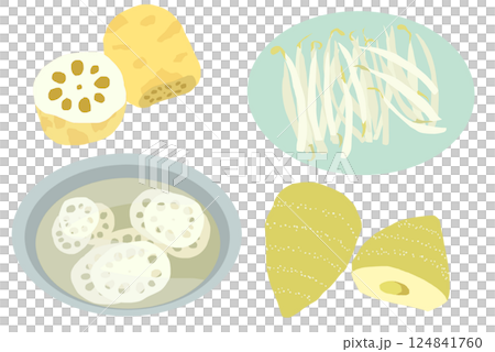 Illustration of lotus root, bean sprouts and bamboo shoots Illustration of lotus root, bean sprouts and bamboo shoots 124841760